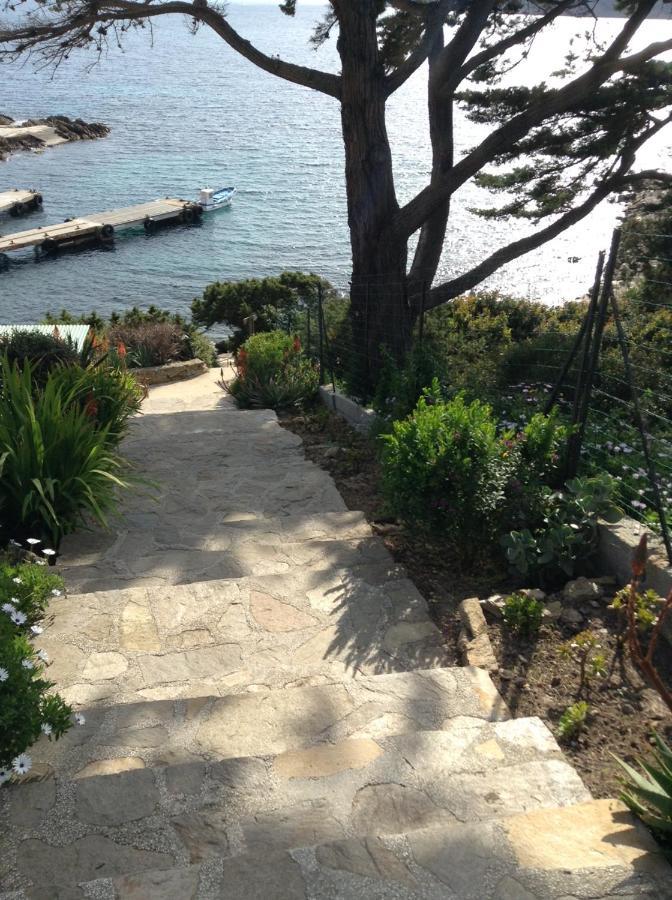 Villa Mirabel Ile du Levant Exterior photo